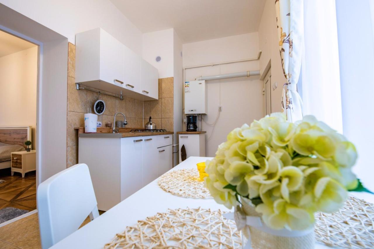 Apartment Amalia Сибиу Экстерьер фото